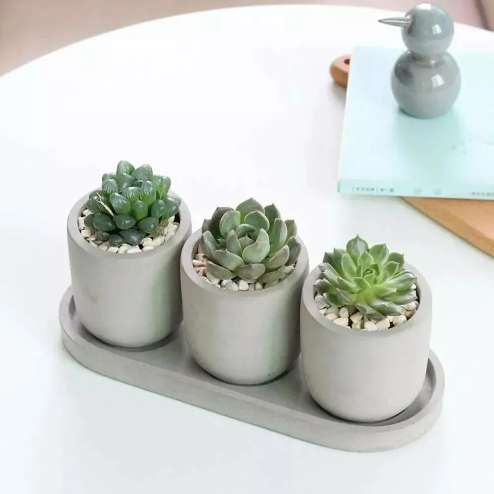 Set of 3 Succulent Planters 2.9